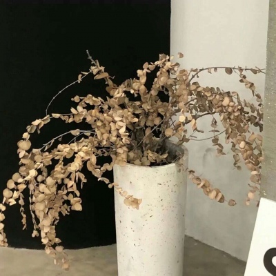 Furry绘画构图指南福瑞交流群